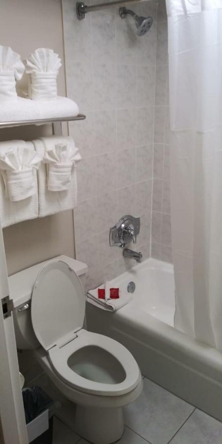 Surestay Plus Hotel By Best Western Clearwater Central المظهر الخارجي الصورة