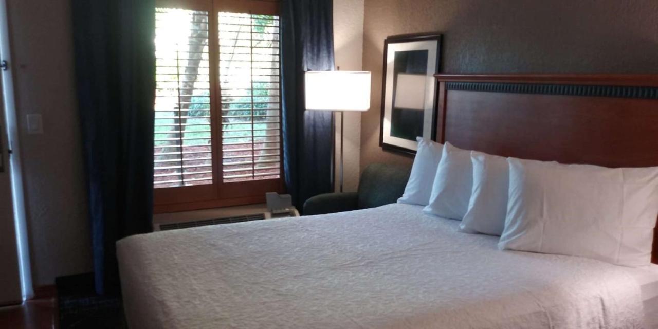 Surestay Plus Hotel By Best Western Clearwater Central المظهر الخارجي الصورة