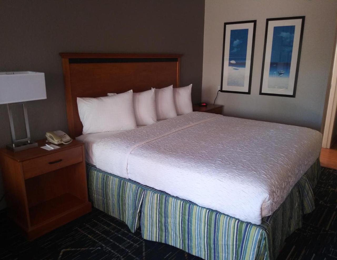Surestay Plus Hotel By Best Western Clearwater Central المظهر الخارجي الصورة